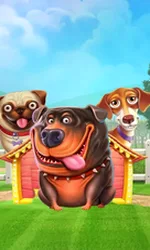 The Dog House